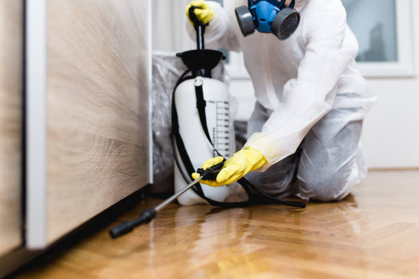 Best Pest Inspection Near Me  in Huntsville, AR
