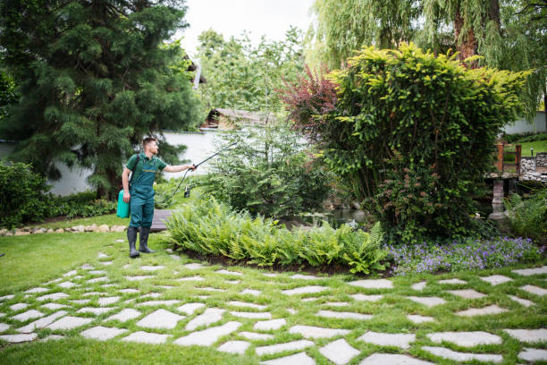Best Pest Prevention Services  in Huntsville, AR