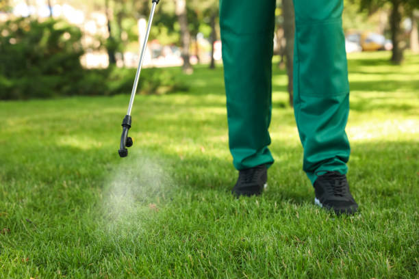 Best Rat Extermination Near Me  in Huntsville, AR