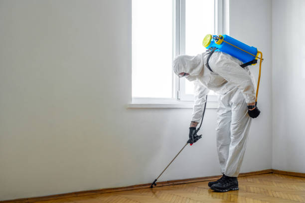  Huntsville, AR Pest Control Pros