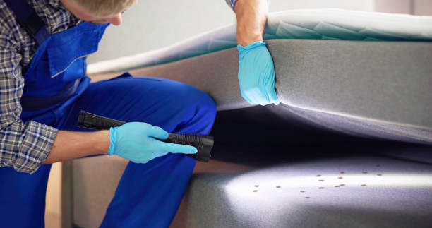 Best Pest Control for Homes  in Huntsville, AR