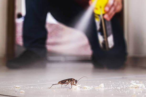 Best Exterminator Services  in Huntsville, AR