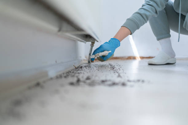 Best Pest Prevention Services  in Huntsville, AR